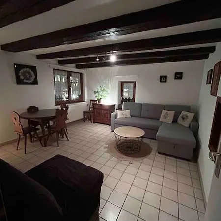 Lägenhet Chaleureux Vue Sur Centre Historique Riquewihr